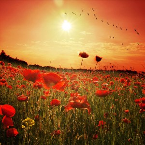 5848028913_36ca7fa2cc